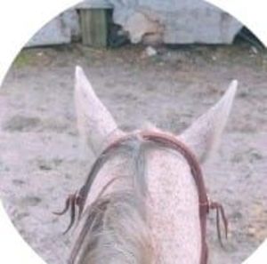 Meet your Posher, Samara